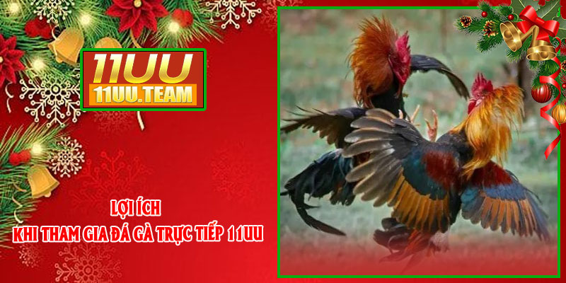 Lợi ích khi tham gia Đá Gà Trực Tiếp 11UU